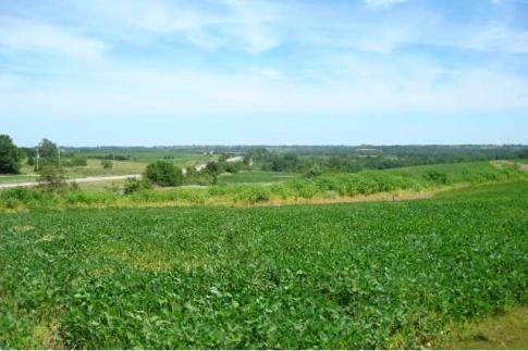 View - HWY 65